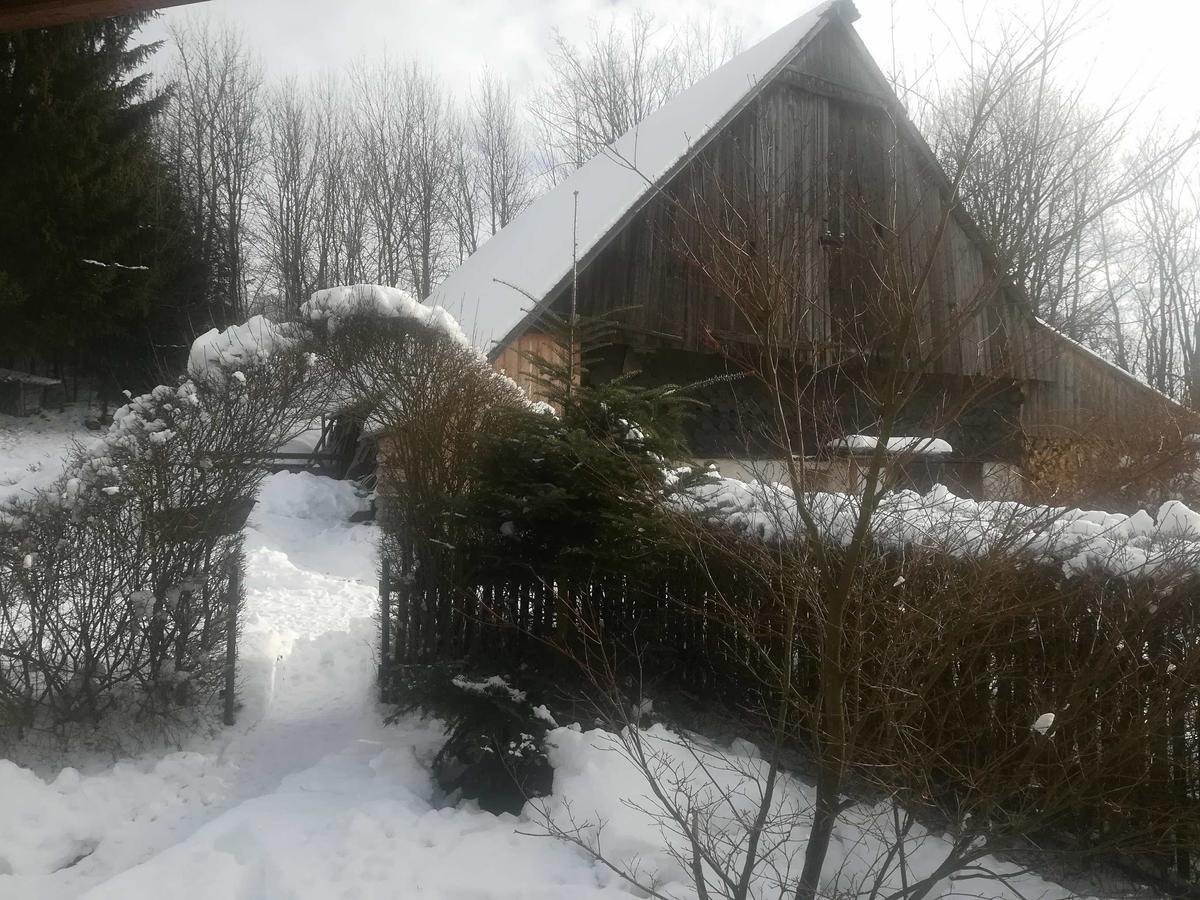 Apartmany Dana Horni Branna Екстериор снимка