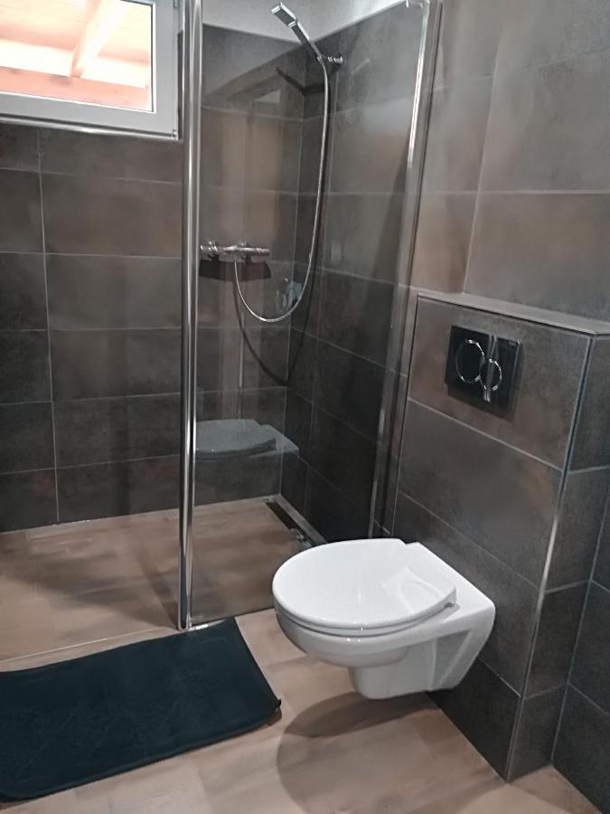 Apartmany Dana Horni Branna Екстериор снимка